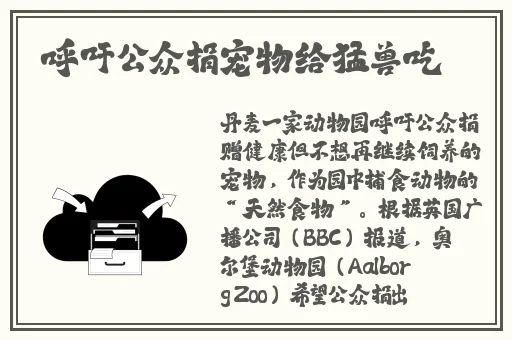 唐三桶比比东不来不亦乐乎MBA